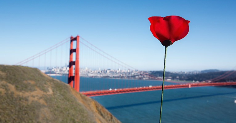 В следующем году Kenzo выпустят юбилейную версию Flower by Kenzo